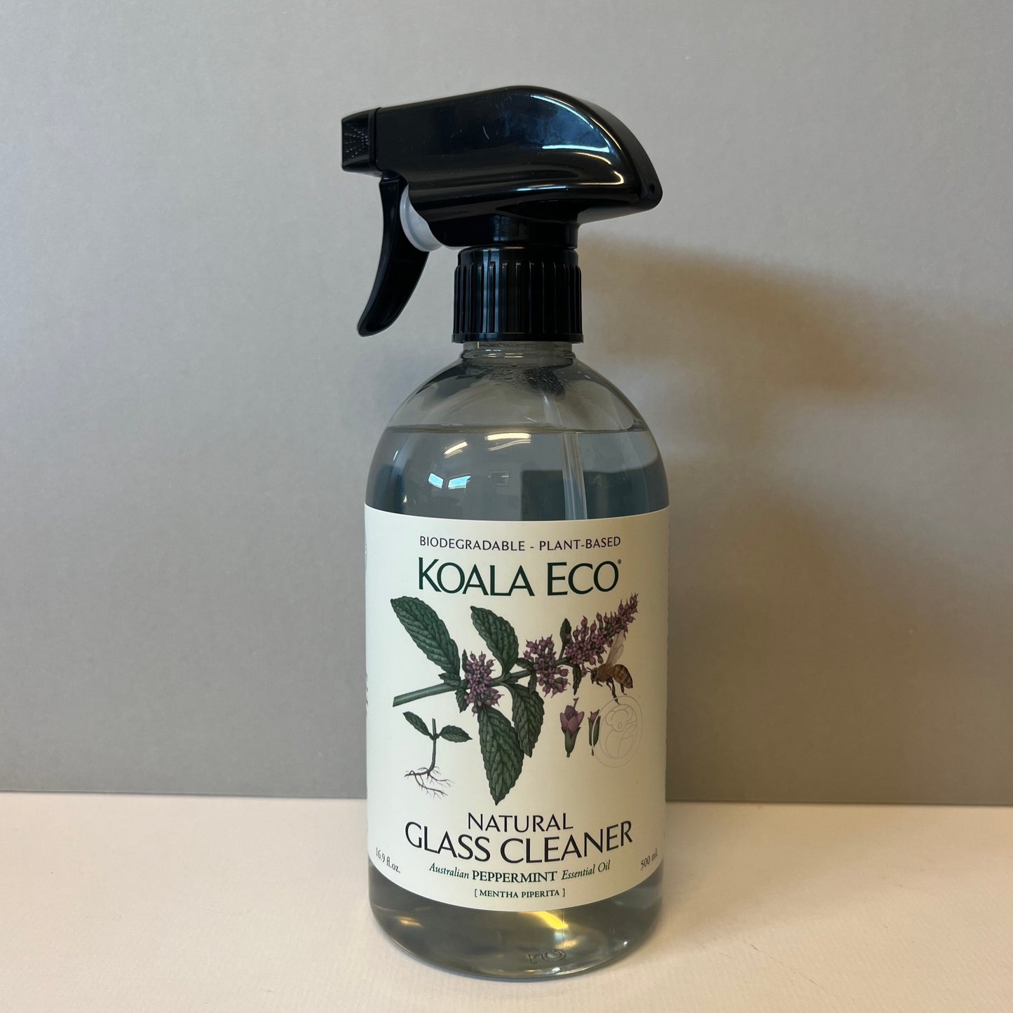 Glass Cleaner (500ml)